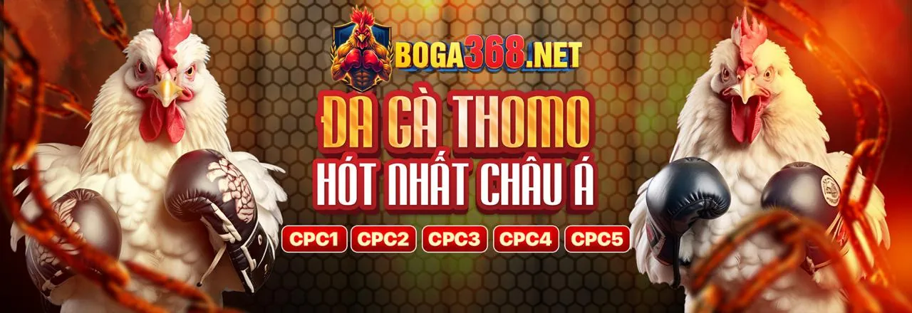 Giao diện đăng nhập c54 web an toàn